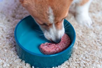 Photo: Masarik/Adobe Stock
