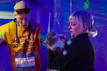 Veterinarian volunteers at the Ukraine border