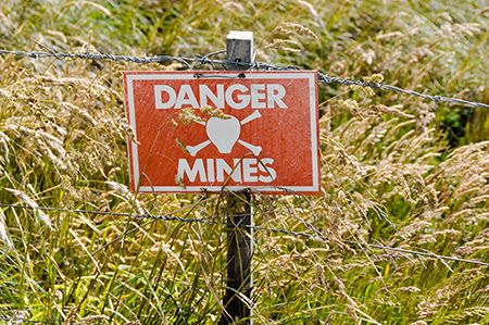 veterinary_landmine_sign_doethion_AdobeStock_39108292_450.jpg