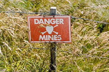 veterinary_landmine_sign_doethion_AdobeStock_39108292_450.jpg
