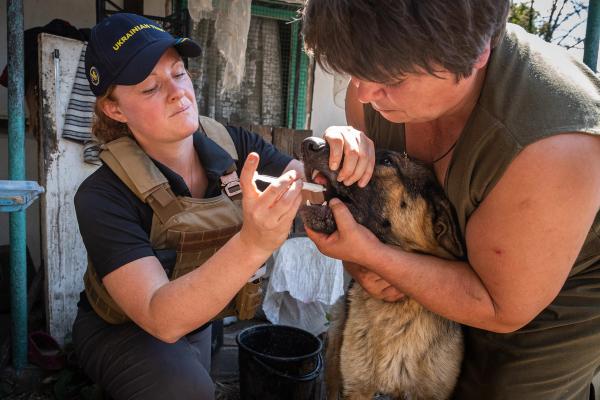 Caring for patients in crisis worldwide