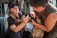 Caring for patients in crisis worldwide