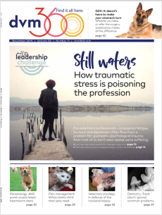 dvm360 November 2019
