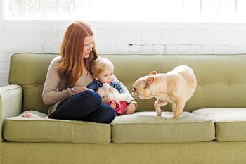 veterinary-mother3-body.jpg
