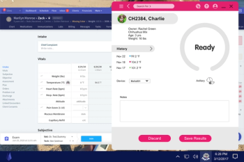 Mella Vetspire partnership