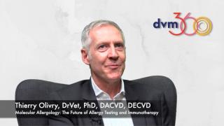 Exploring molecular allergology as the future of allergy testing and immunotherapy