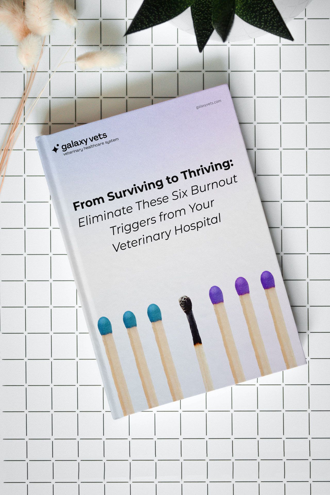 Why are veterinarians unhappy?