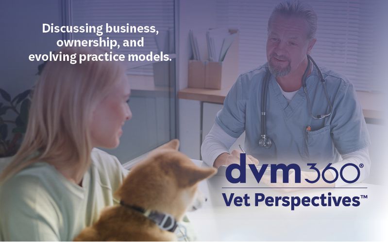Vet Perspective