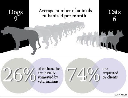 State of the veterinary profession: Euthanasia in practice