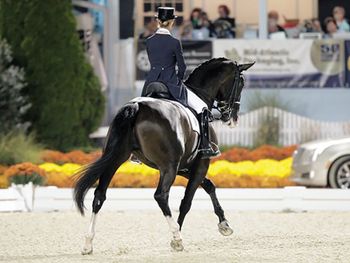 veterinary_Noodles-Half-pass_450.jpg