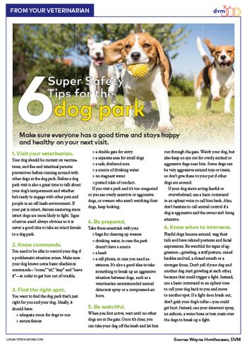 dogpark450.jpg