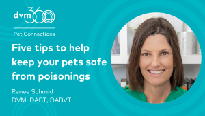 Five tips to help keep your pets safe from poisonings