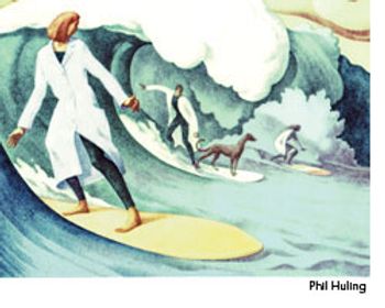 veterinary_surf_wave_wd-590715-1384517740489.jpg