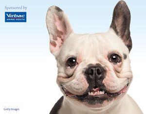 Virbac-dog-photo-sponsor-450-350-845149-1404209654865.jpg