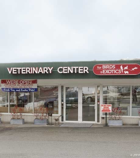Photo gallery: The finished product-Veterinary Center for Birds and ...