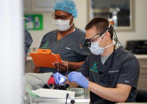  From new grad to veterinary practice owner