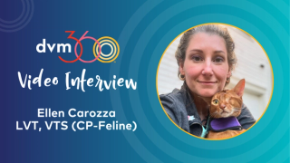 Helping clients reduce feline stress during vet visits