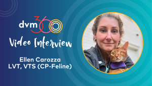 How to adopt a kinder approach to feline care in the clinic