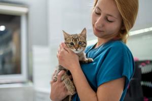 Modern technologies in veterinary diagnostics: Addressing industry challenges