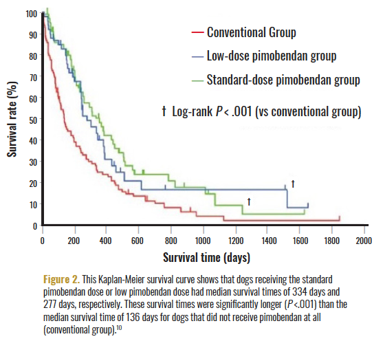 Tool Kit Essentials for Canine Congestive Heart Failure