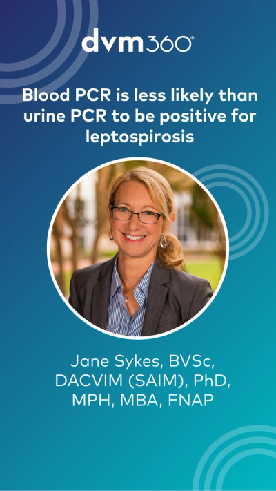Blood PCR is less likely than urine PCR to be positive for leptospirosis