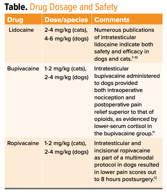 Local analgesic techniques for gonadectomy: Focus on testicular block