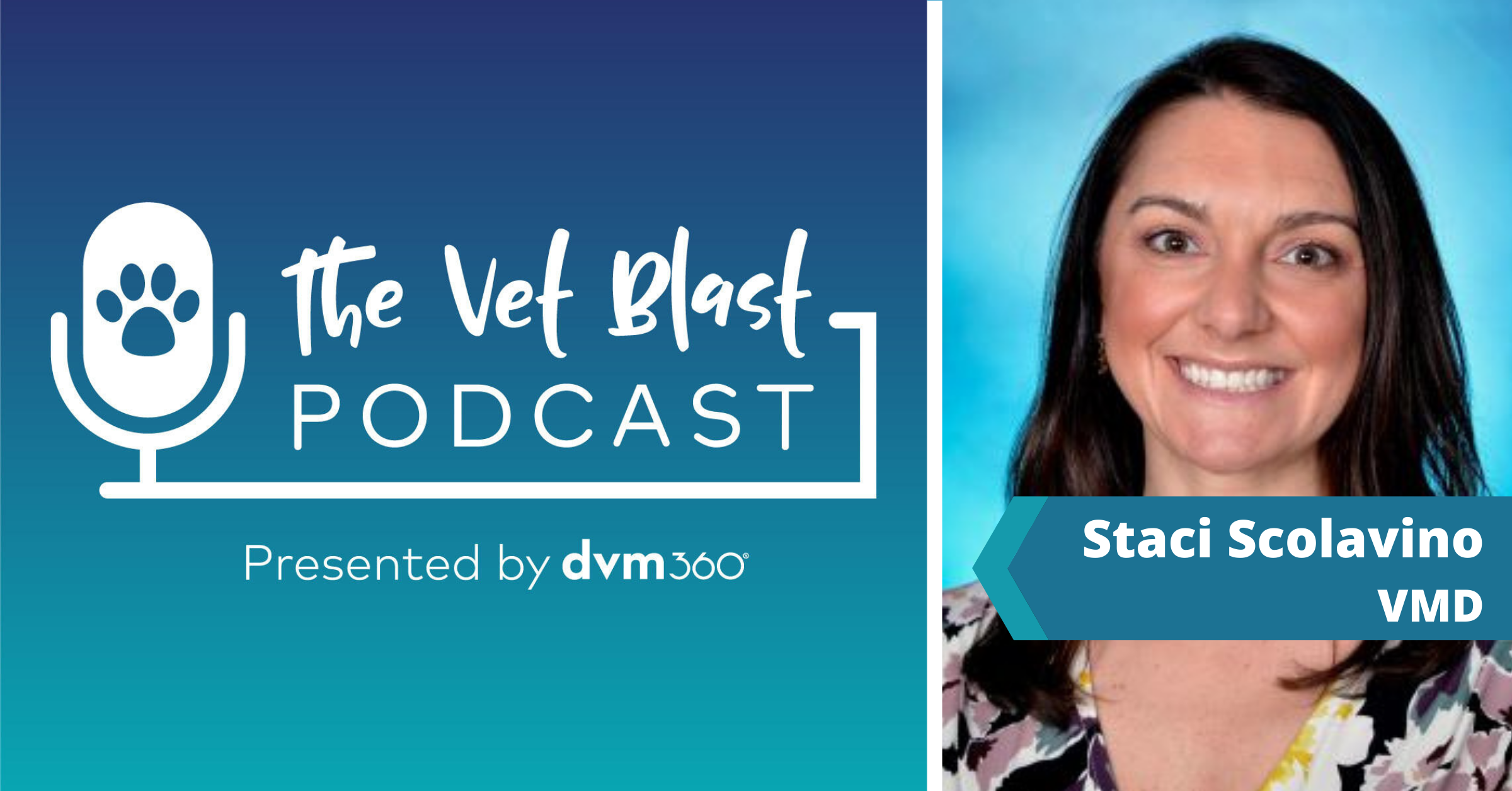The Vet Blast Podcast