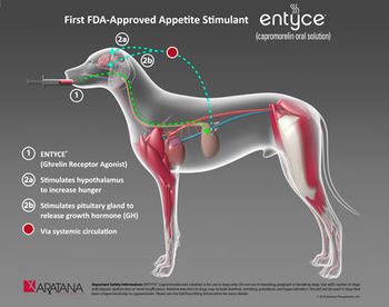 EntyceMOA_450.jpg