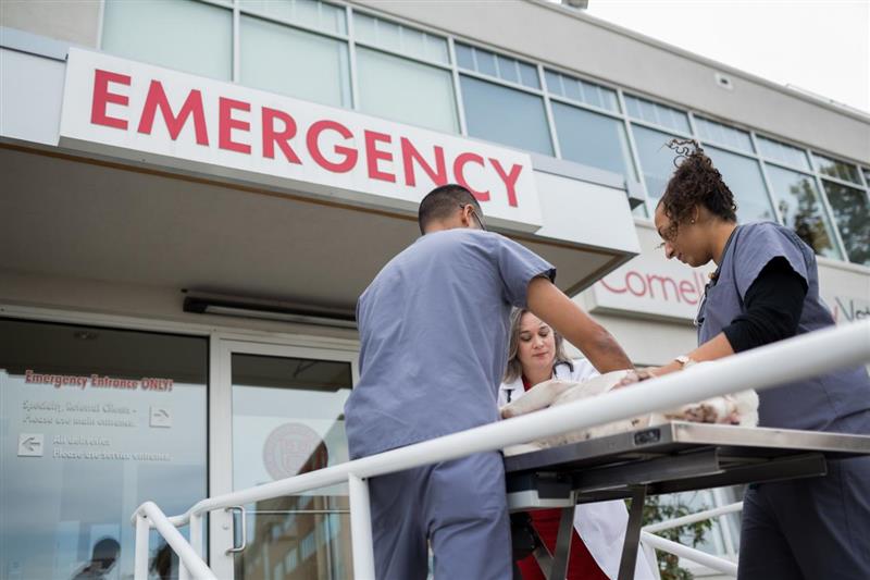 emergency sign outside hospital 