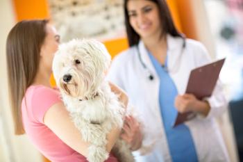 pet owner and veterinarian