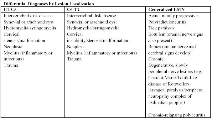 The Tetraparetic Dog The Upper Motor Neuron The Lower Motor Neuron And The In Between Proceedings