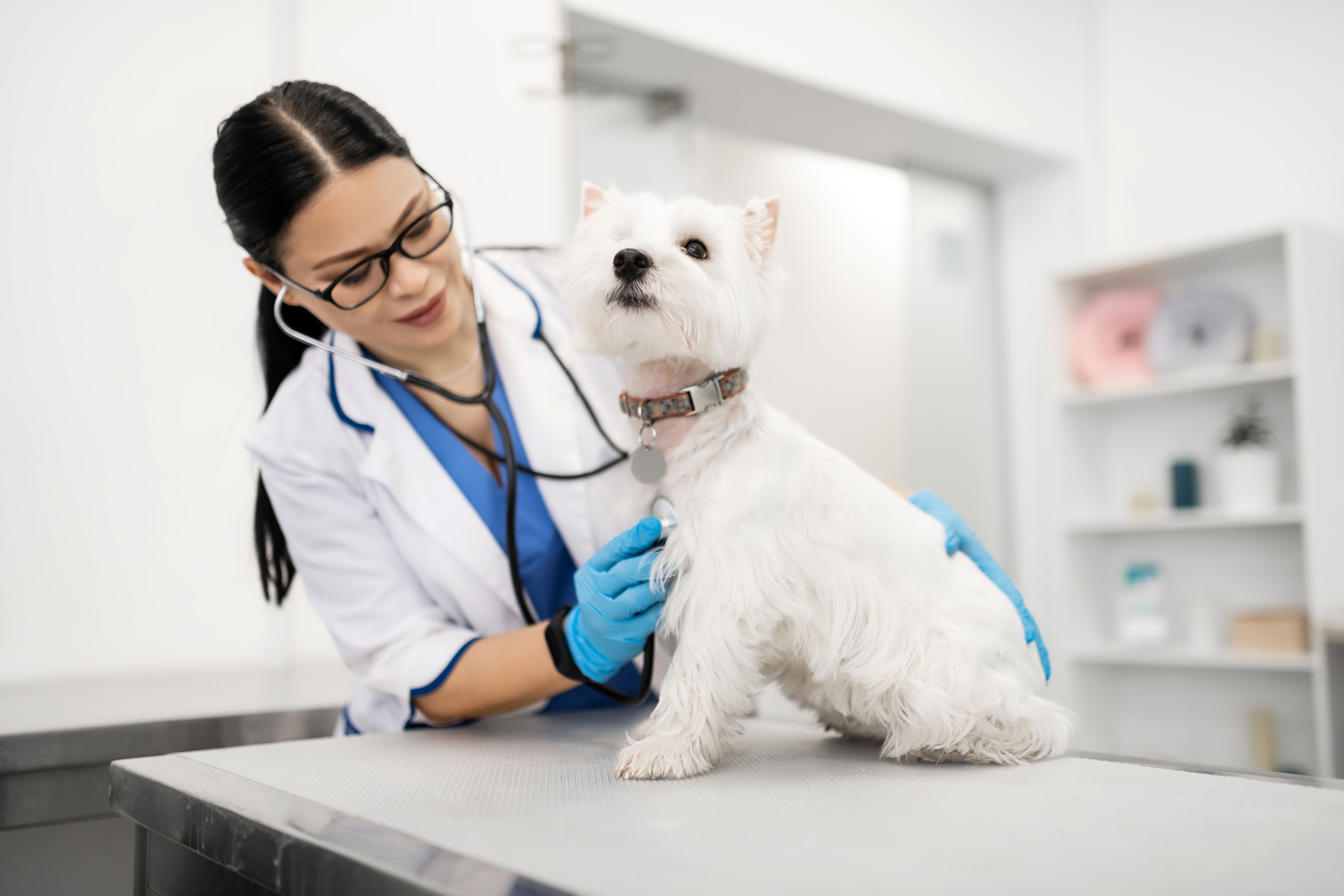 Petsmart best sale vet clinic