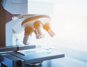 Studies may pave the way for monthly heartworm/flea-tick/intestinal parasite chewable from Zoetis