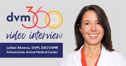 What is the American College of Veterinary Sports Medicine and Rehabilitation?