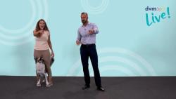 Fun and impressive dog tricks with Chrissy Joy