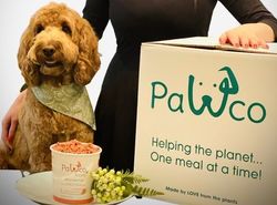 PawCo unveils first fully plant-based meat specially for pet foods