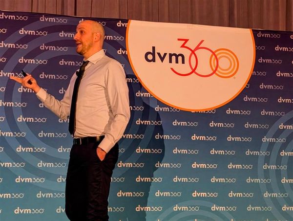 4 Cognitive biases that are short-circuiting your decision making