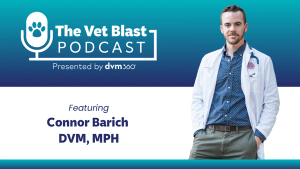 The journey of becoming a veterinarian