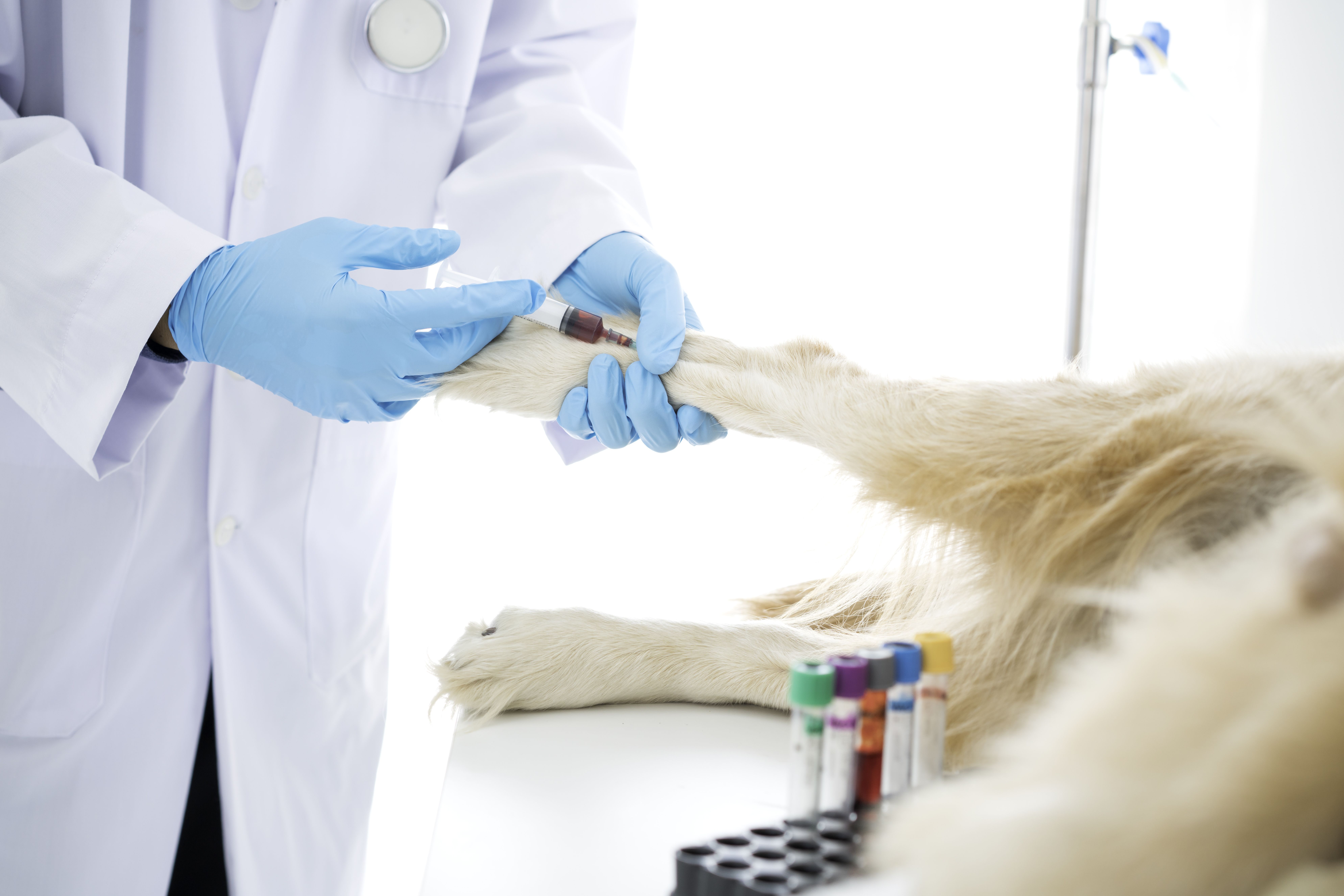 Tips for technicians to improve phlebotomy skills