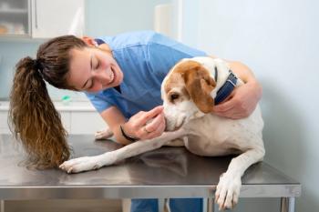 Veterinary technician