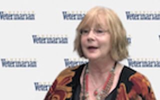 Feline and Canine Dermatophytosis Prevalence Fluctuates Seasonally