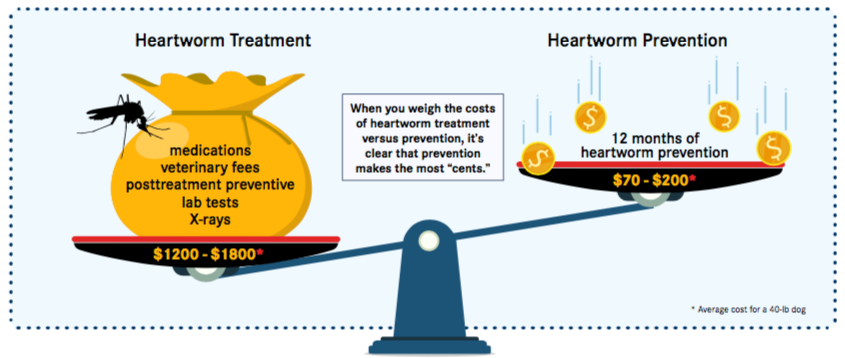 How Much Does Heartworm Treatment Cost For Dogs