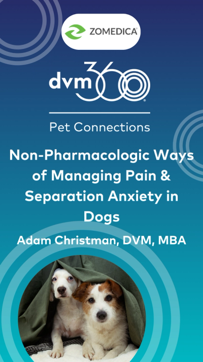 Nonpharmacologic ways of managing pain and separation anxiety in dogs