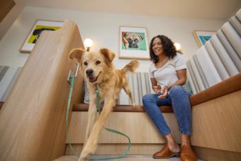 Chewy Vet Care Aventura. (Image courtesy of Chewy Vet Care)