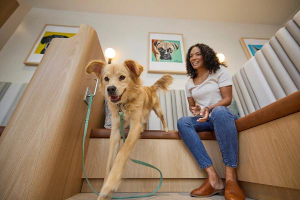 Chewy Vet Care Aventura. (Image courtesy of Chewy Vet Care)