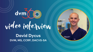 Orthopedic lectures from Fetch Charlotte 2024