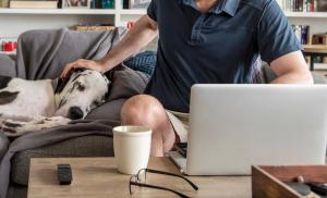 Can telehealth offer a solution for access to veterinary care?