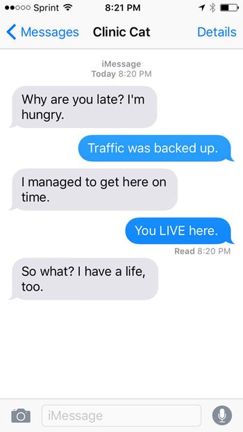 text3450.jpg