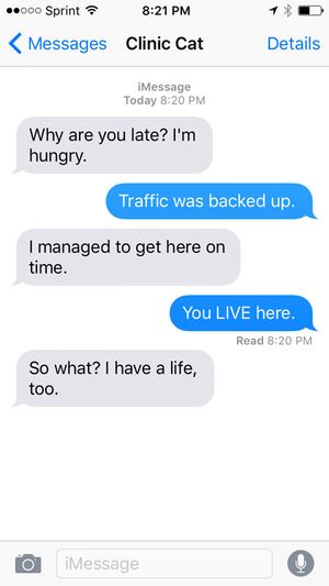 text3450.jpg