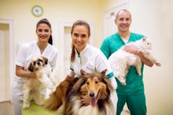 World Veterinary Day 2022 recognizes veterinary resilience